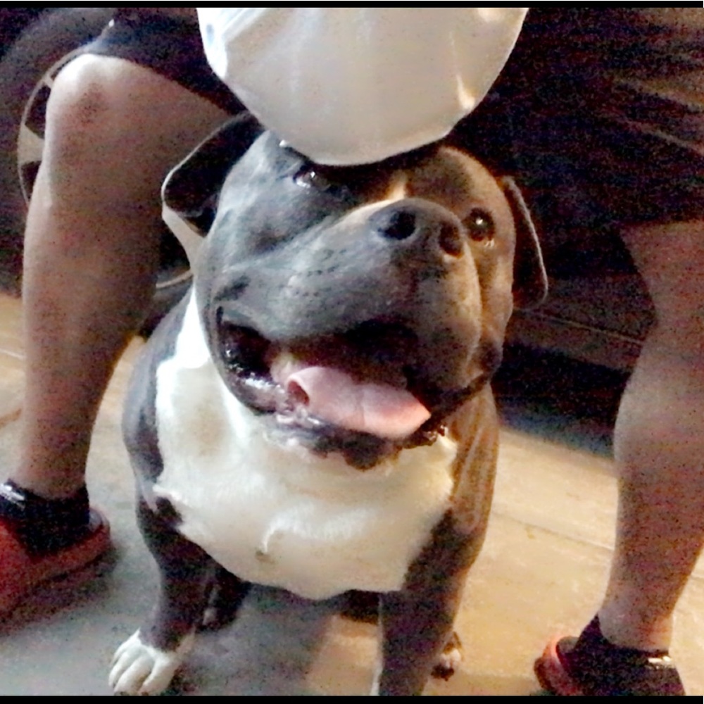 Meet your Posher, Manveer